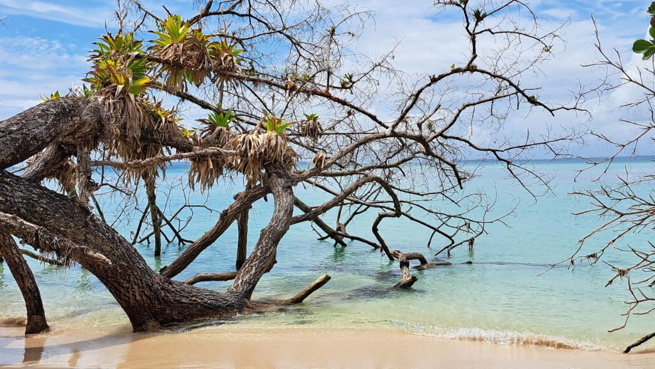 El Clandestino Villa Bocas Town Bagian luar foto